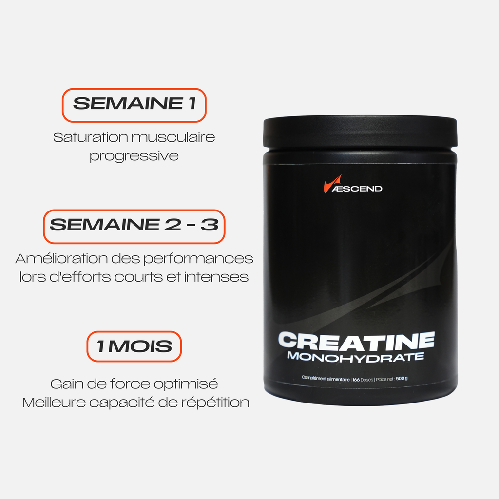 Créatine