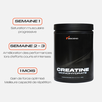 Créatine Monohydrate
