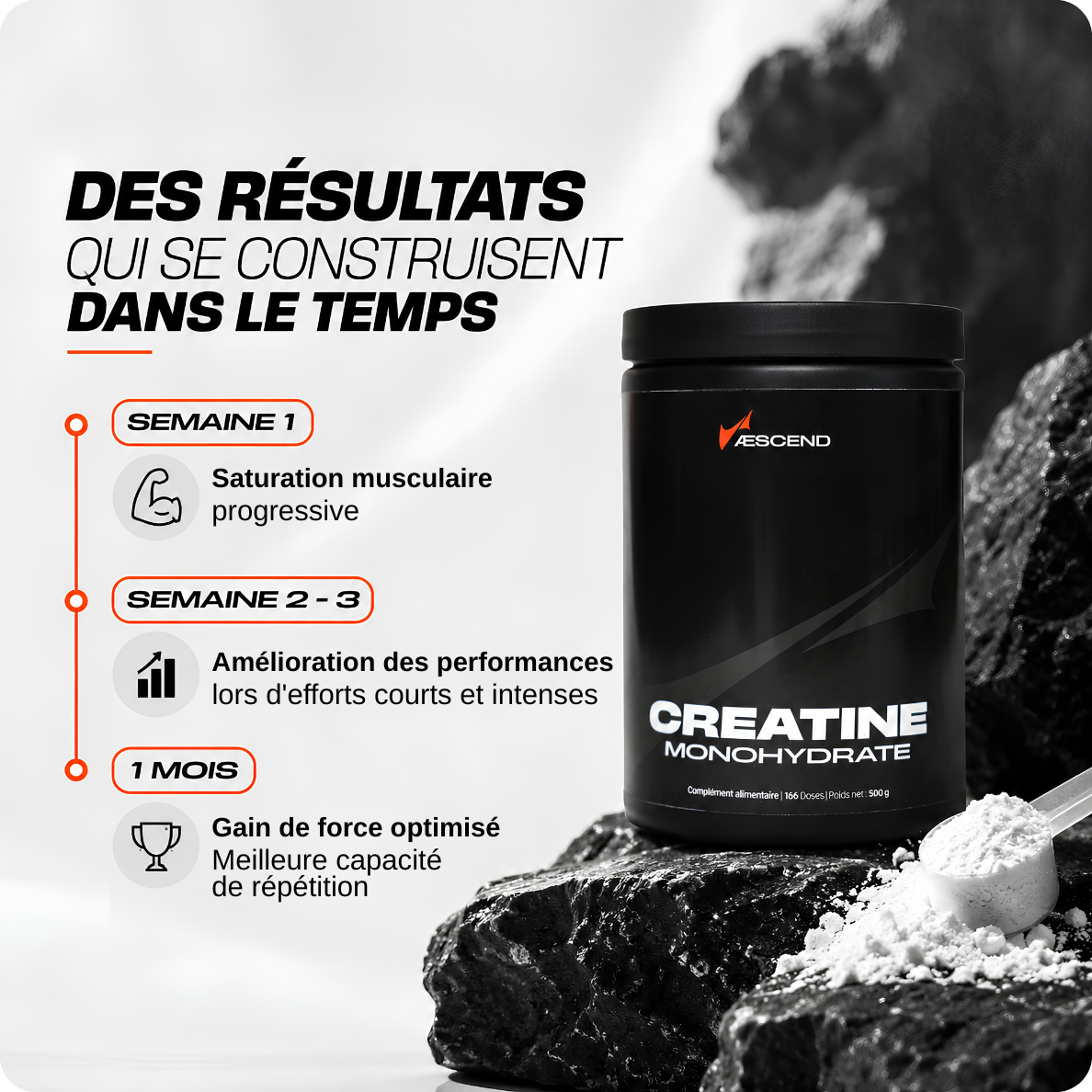 Créatine